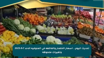 تحديث اليوم.. أسعار الخضار والفاكهة في المنوفية الأحد 7-9-2025 وتغيرات ملحوظة